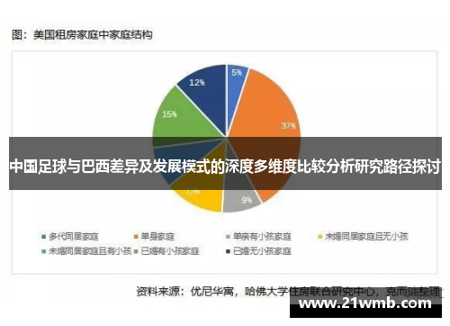 中国足球与巴西差异及发展模式的深度多维度比较分析研究路径探讨